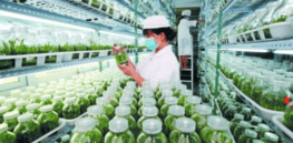 Europe’s bioindustry 4.0: ‘The upside of biotechnology is that it can offer a cleaner alternative to traditional chemical manufacturing’